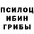 Галлюциногенные грибы Psilocybe dancingdodo27