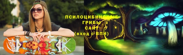 шишки Нязепетровск