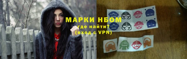 шишки Нязепетровск