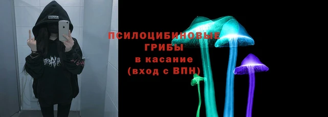 не бодяженный Няндома
