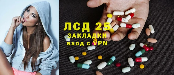 шишки Нязепетровск