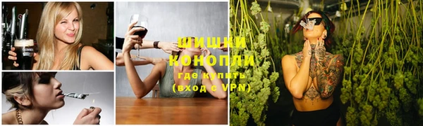 шишки Нязепетровск