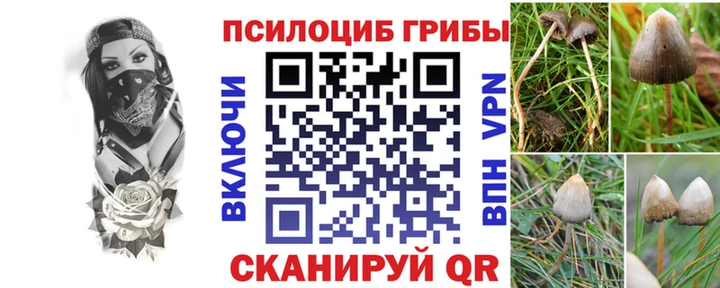 Псилоцибиновые грибы MAGIC MUSHROOMS  что такое наркотик  Озёрск 
